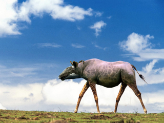 Illustration for article titled Common Animals Morphed Into Terrifying New Species